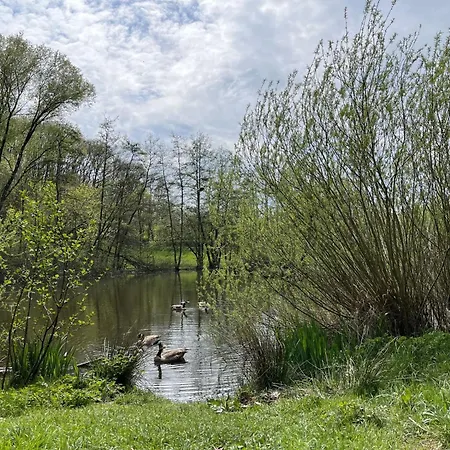 Am Sternberg 105 By Interhome Frankenau